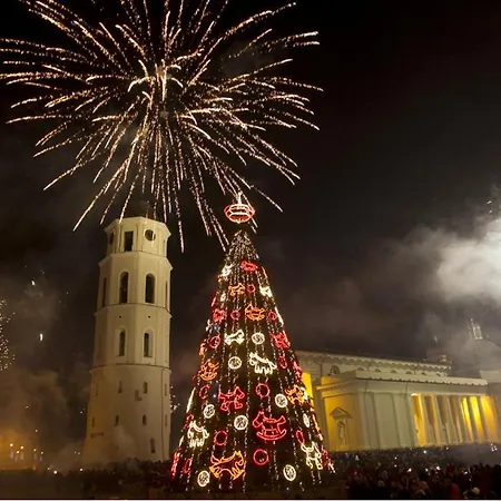 Jogailos City Center Lejlighed Vilnius