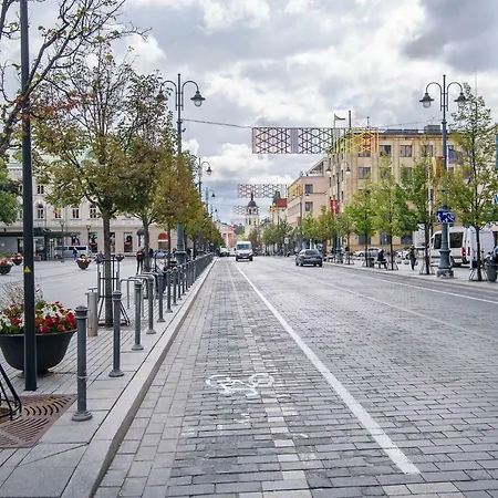 Jogailos City Center Daire *